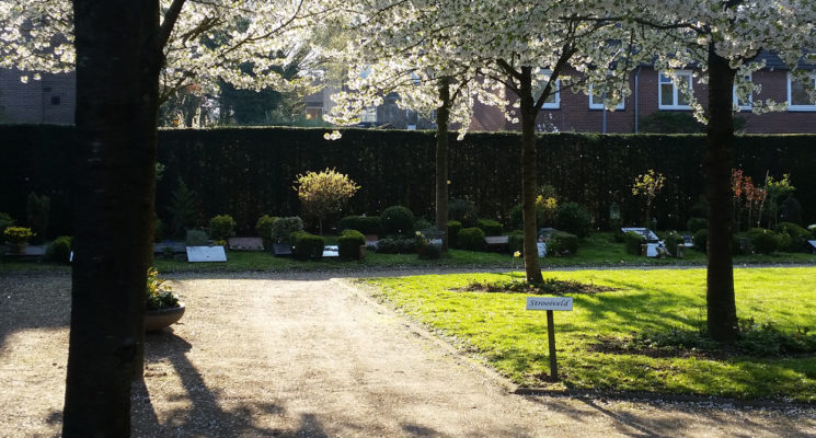 Uitstrooien van een urn kan op het strooiveld van RK begraafplaats St. Barbara in Hilversum